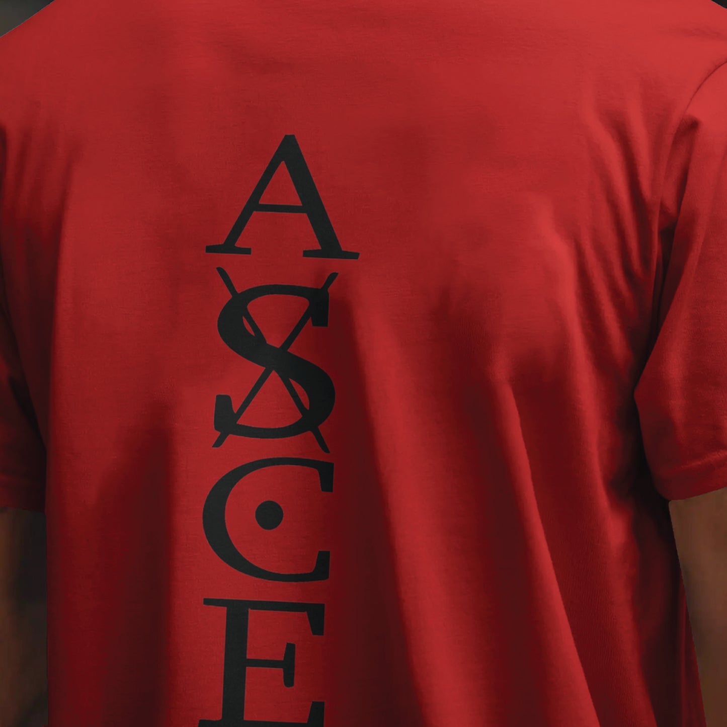 one piece ace minimalist oversized t shirt